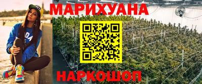 индика Ликино-Дулёво