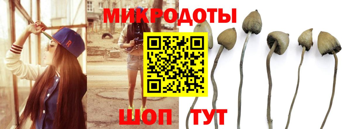 Галлюциногенные грибы прущие грибы  Вход с VPN  Галлюциногенные грибы Psilocybine cubensis  Вичуга 